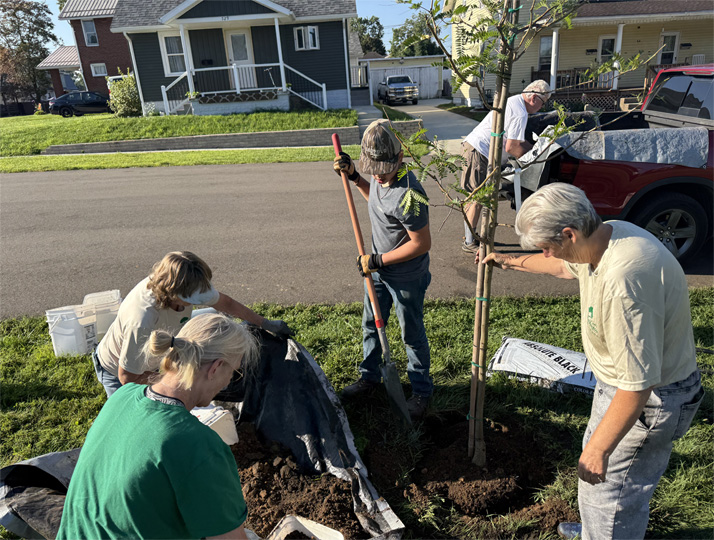 Planting Trees