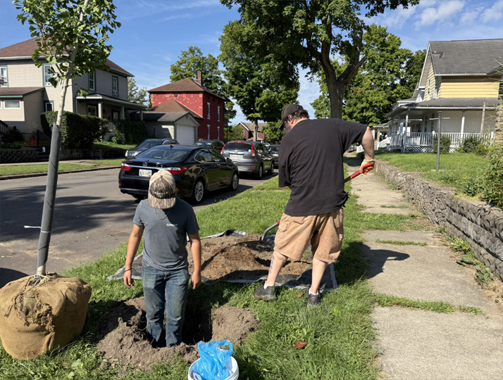 Planting Trees